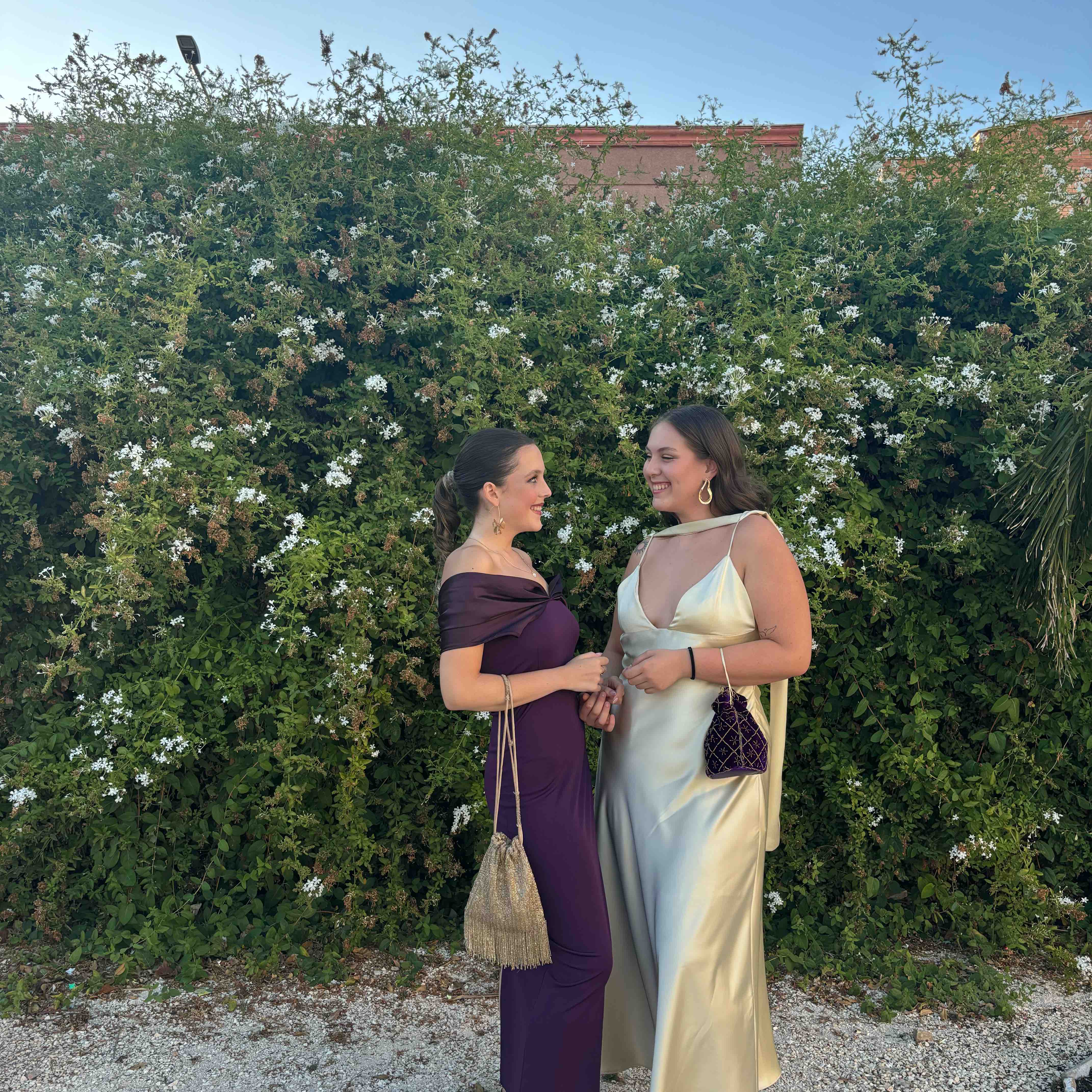 Alquiler Vestido de boda | Jointy