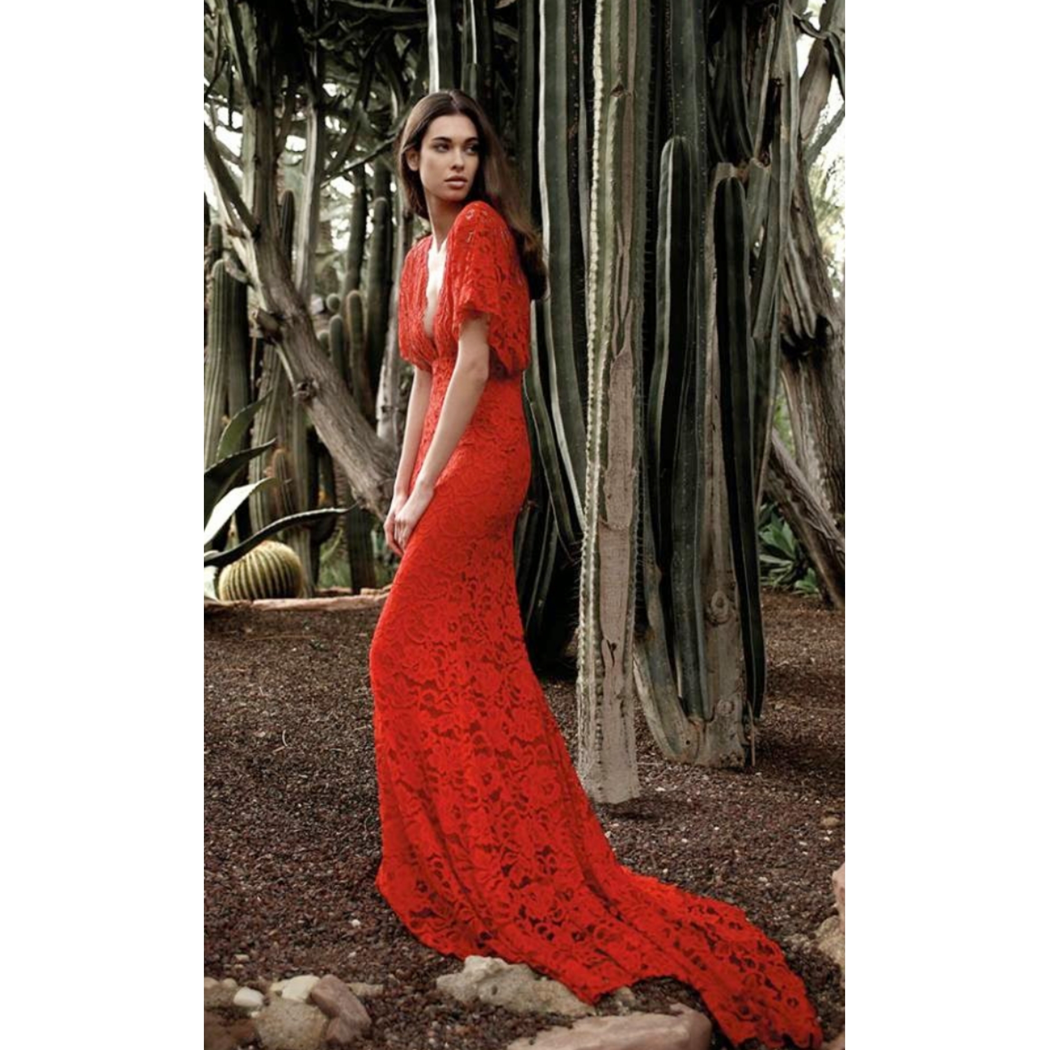 Alquiler VESTIDO ENCAJE | Jointy