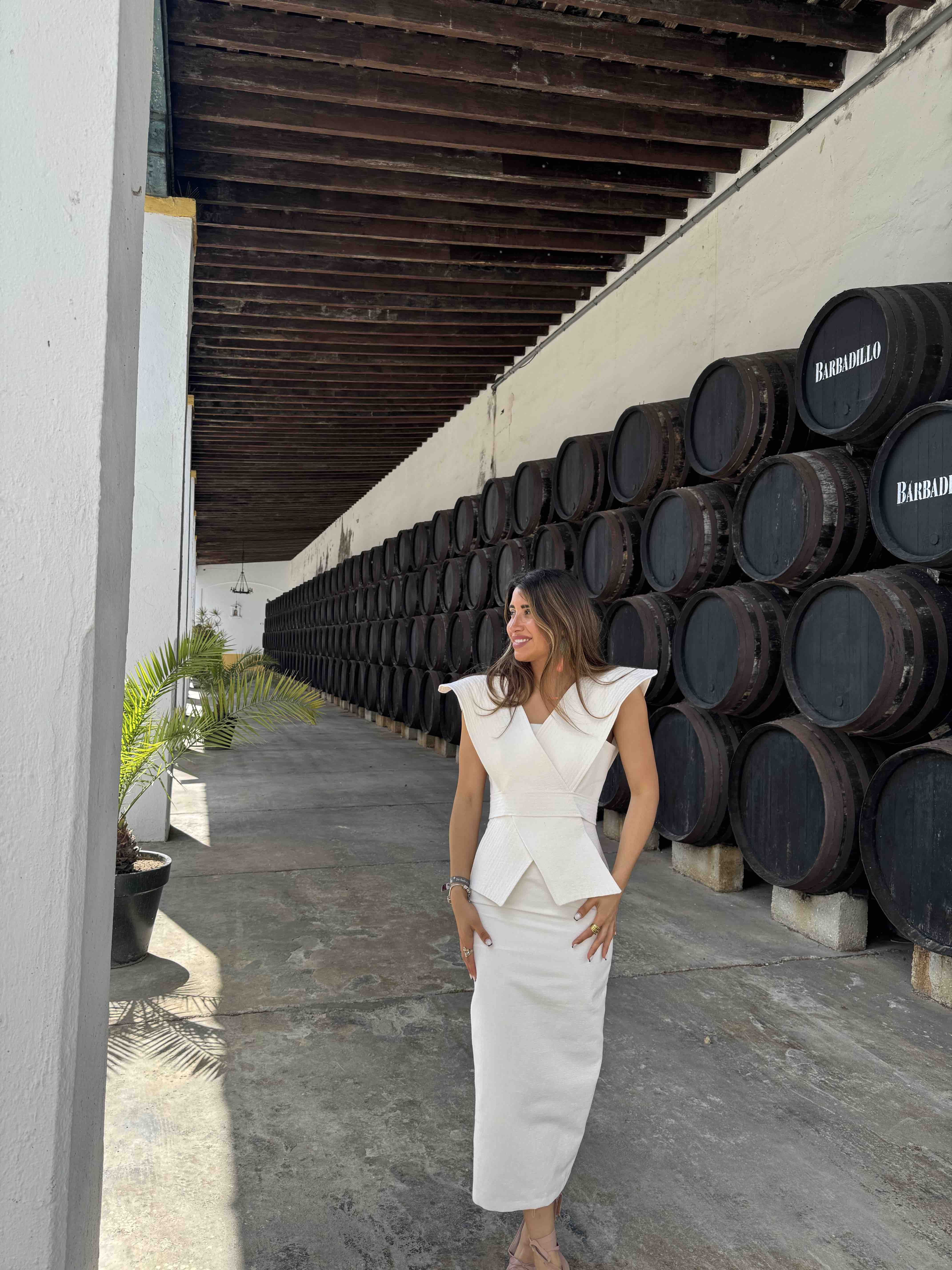 Alquiler Vestido | Jointy