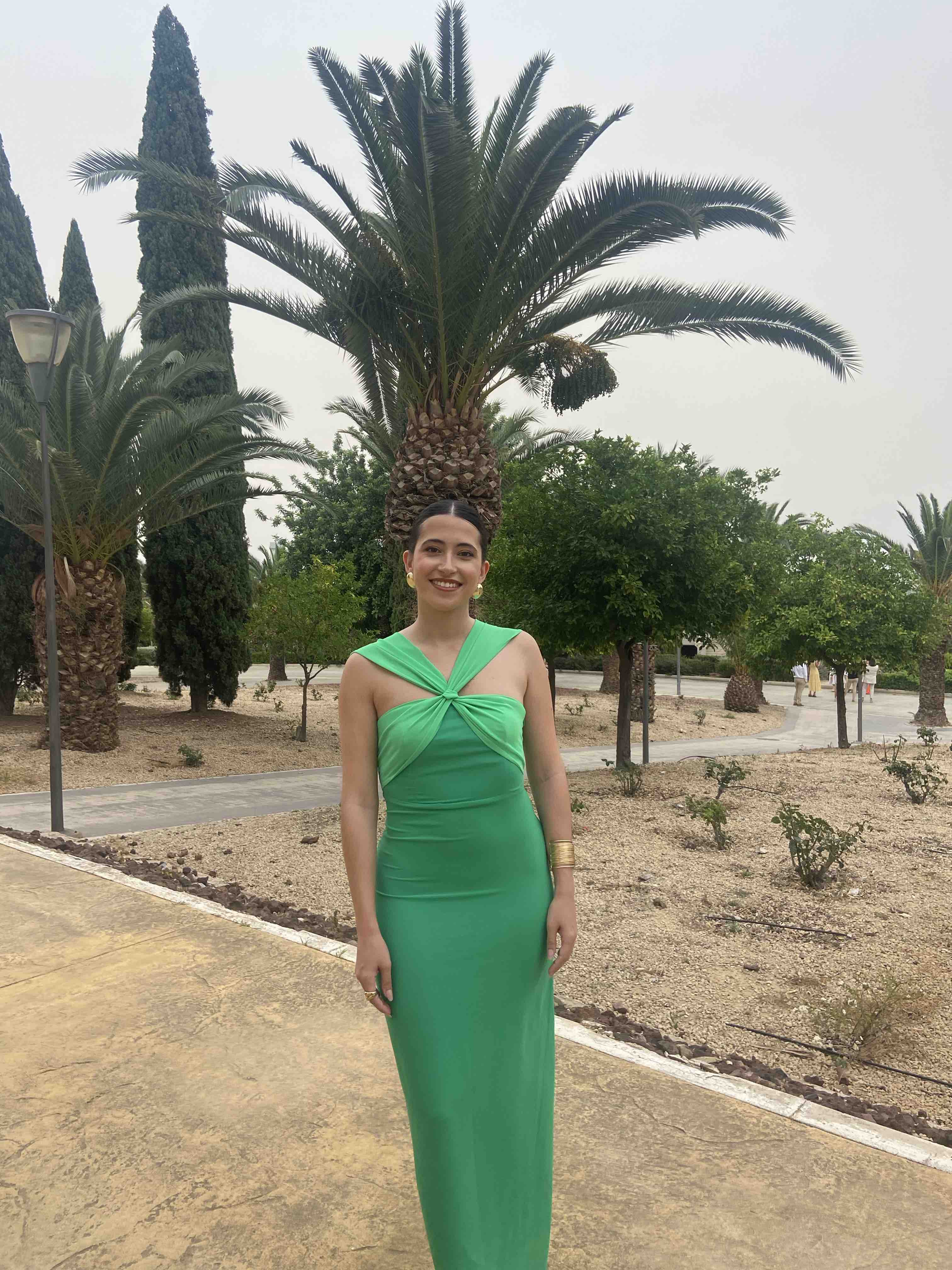 Alquiler Vestido lady pipa | Jointy