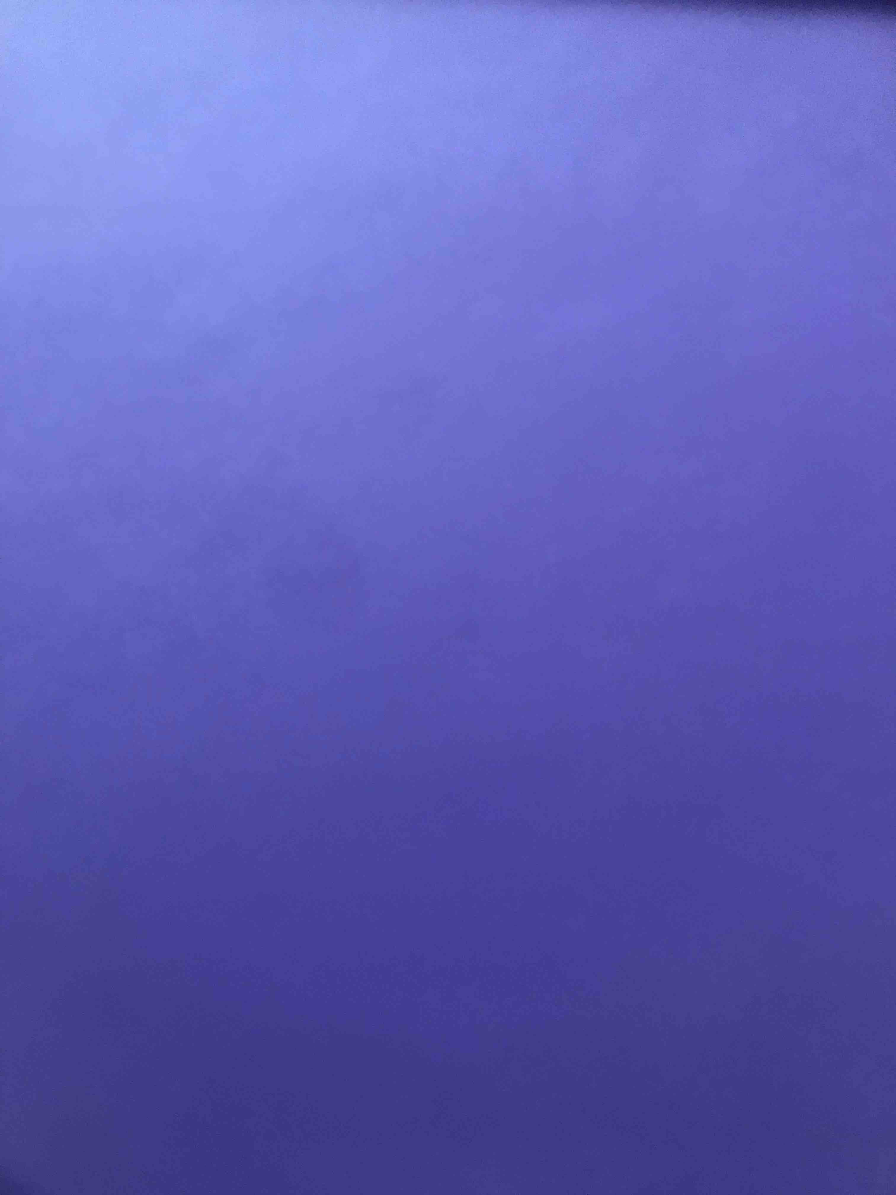 Alquiler Morado test | Jointy