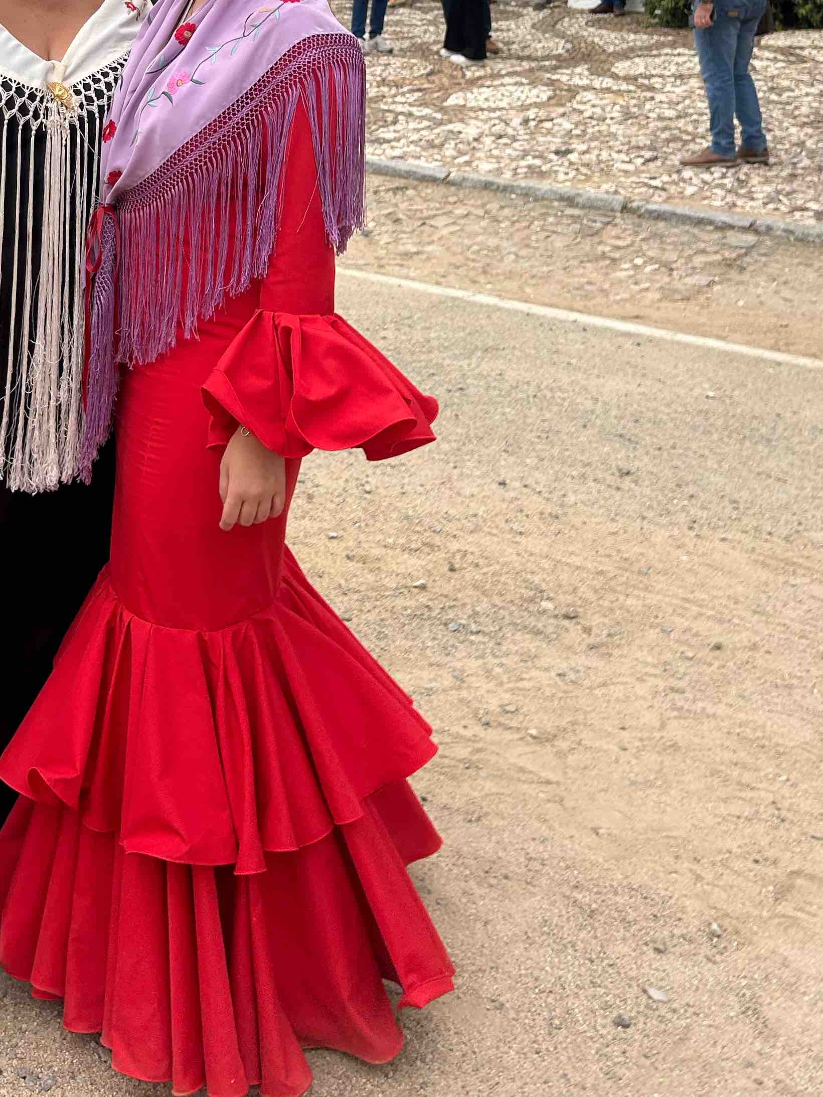 Alquiler Traje de flamenca | Jointy