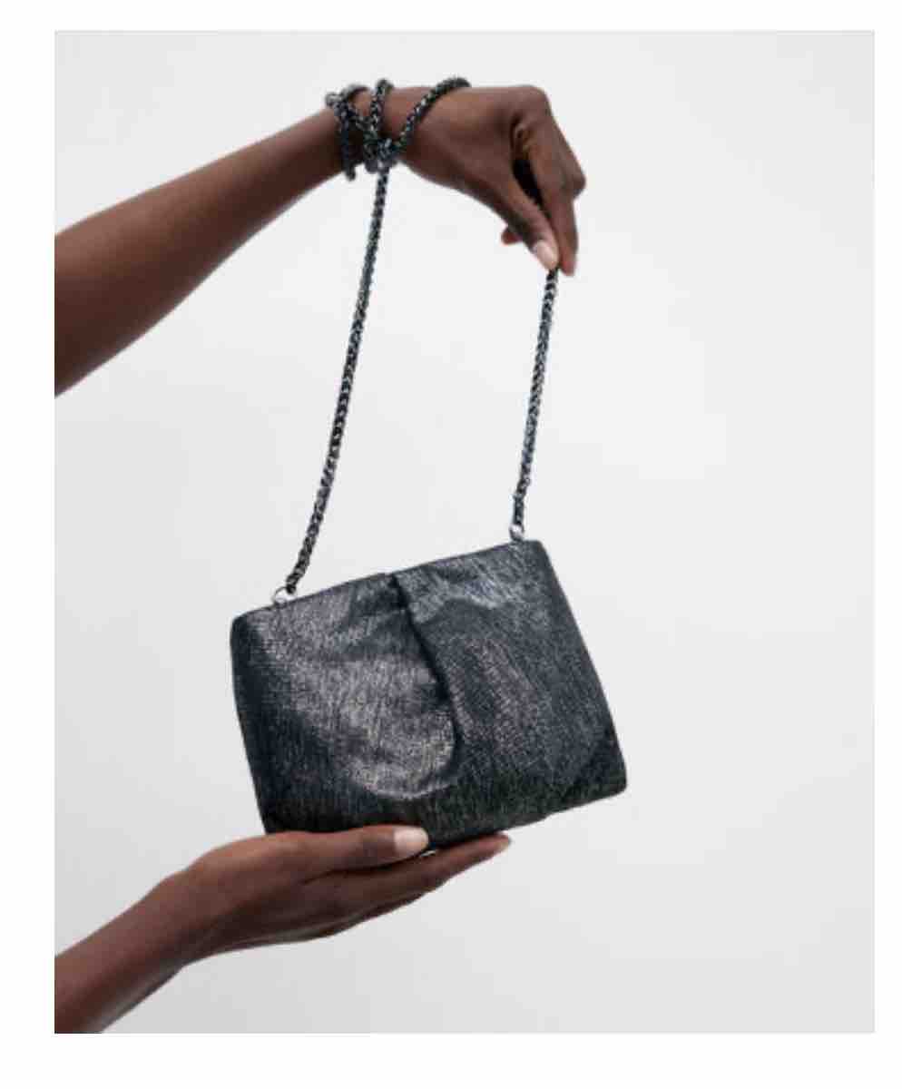 Alquiler Bolso plateado de evento Adolfo Domiguez | Jointy