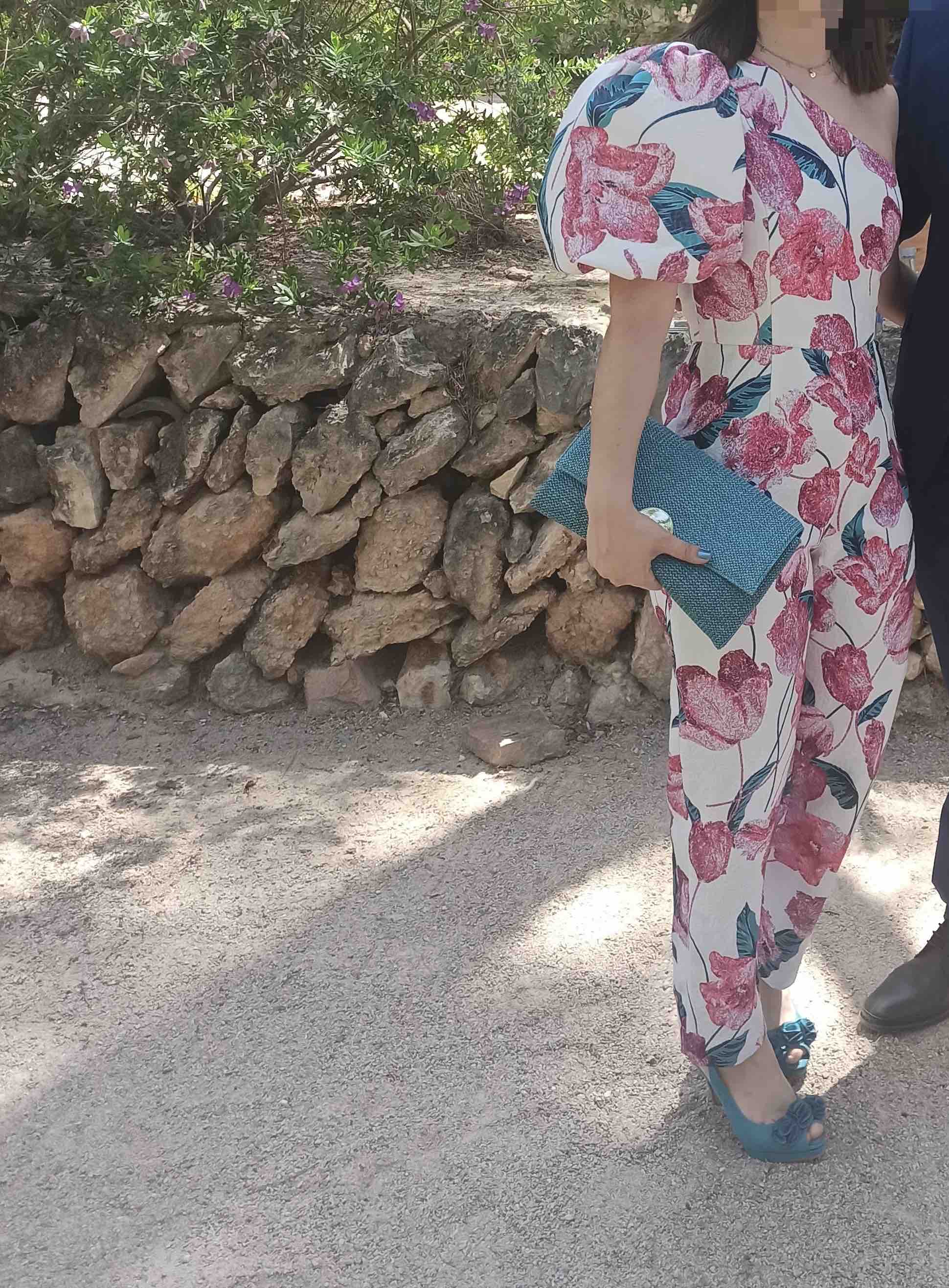 Alquiler Mono invitada Apparentia | Jointy